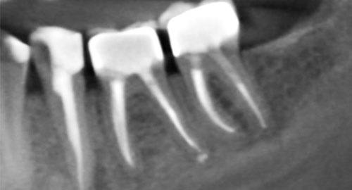 photo_2025-10-19_12-41-24 (4)